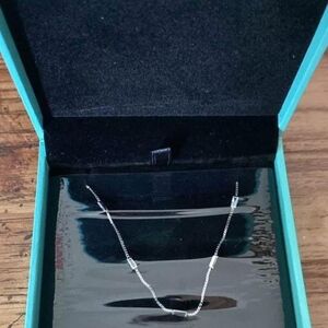 Sleek Silver Necklace